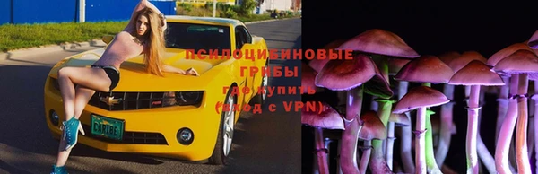 МДМА Арсеньев