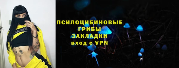 молекула духа Армянск