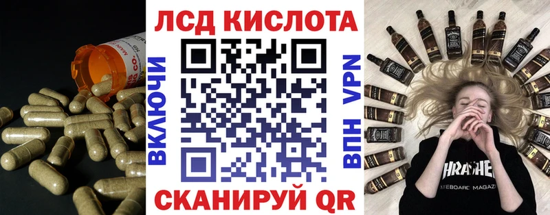 дарк нет Telegram  где продают   Лангепас  Лсд 25 экстази кислота 